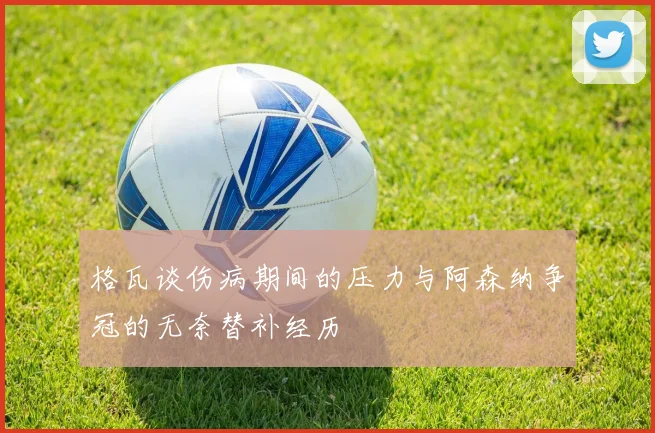 格瓦谈伤病期间的压力与阿森纳争冠的无奈替补经历