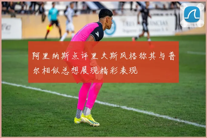 阿里纳斯点评里夫斯风格称其与普尔相似总想展现精彩表现